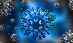 Які віруси викликають рак - Погляд – новини Чернівці